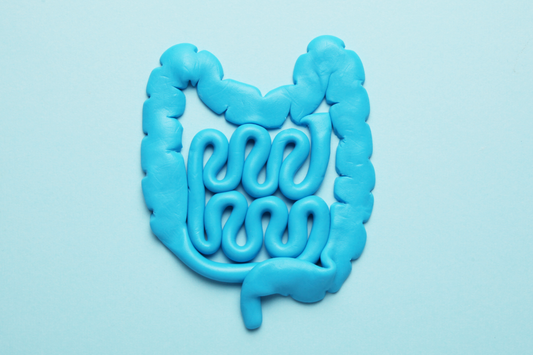 Improve your Gut Health!