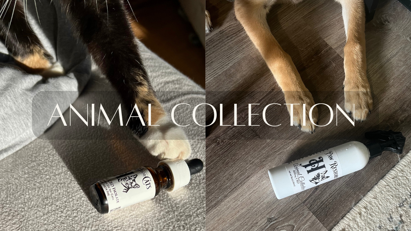 Animal Collection