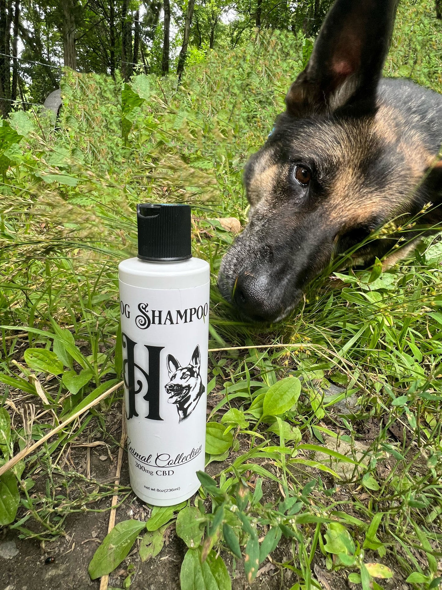 Dog Shampoo