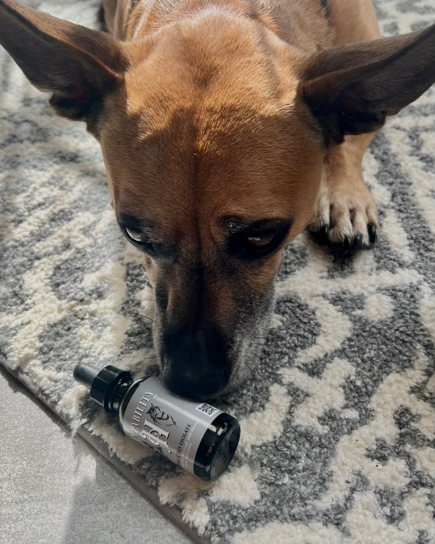 CBD Select for Dogs & Horses