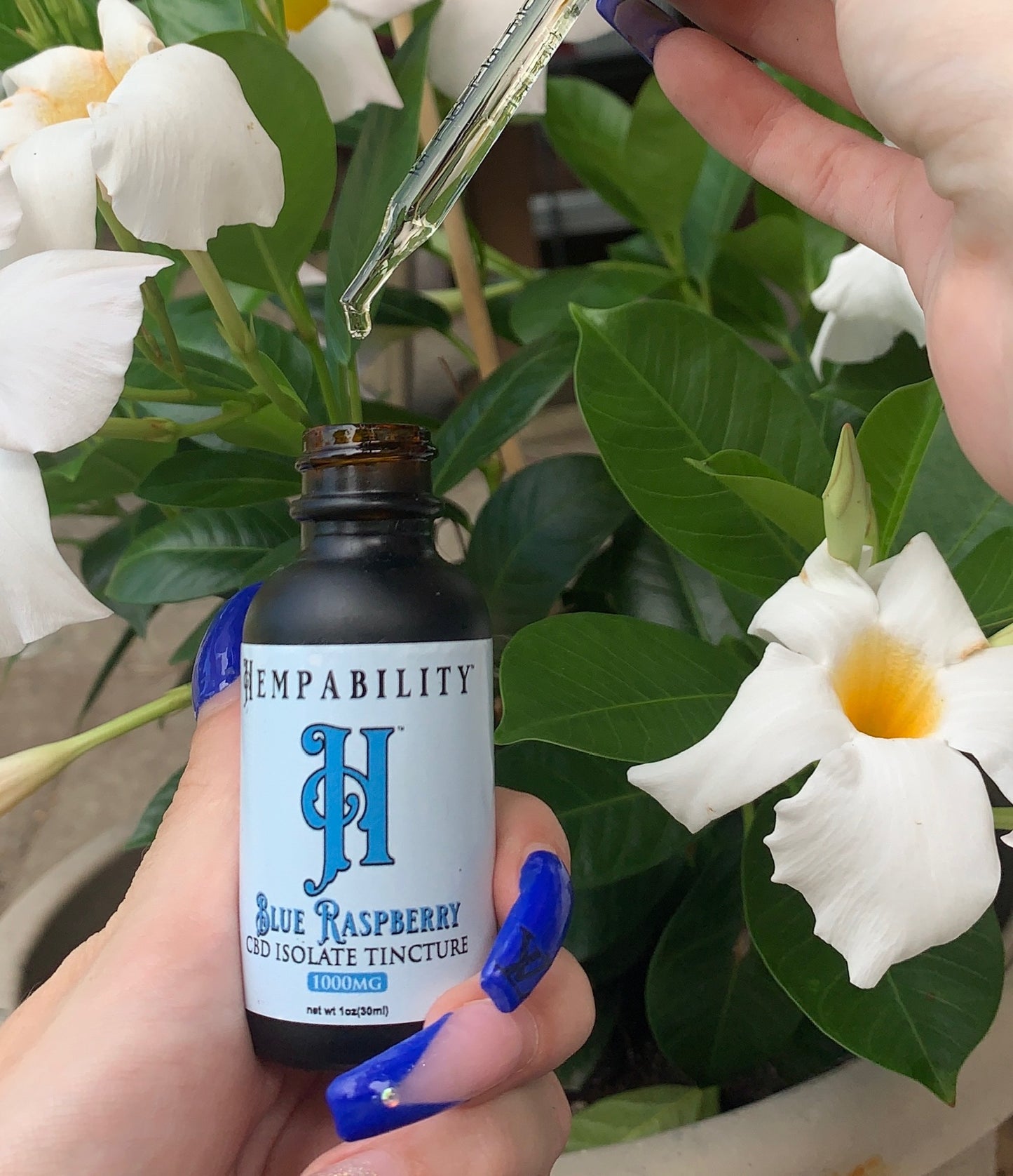 Blue Raspberry CBD Tincture