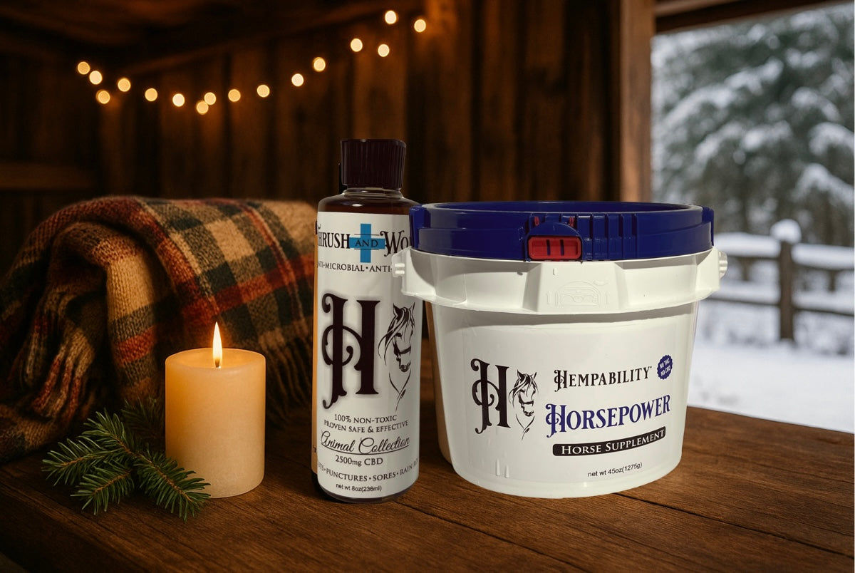 Horse Wellness Bundle
